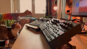 Korg Monologue | Digitakt II | Digitone II - Downtempo Origins