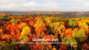 Toshiba Z770 Ultra HD 4K Android TV [FLAGSHIP] – Features | Toshiba TV Malaysia