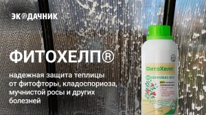 обработка теплицы от Марины Рыкалиной