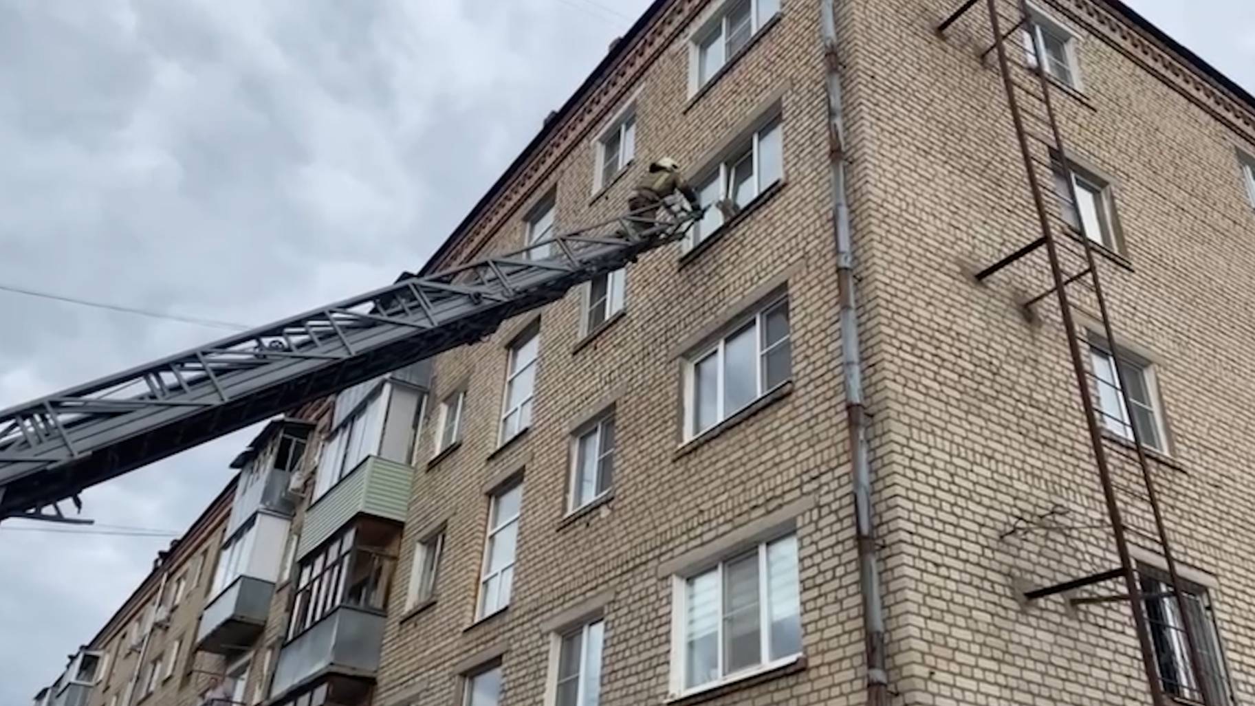 (Рыбинск-40) КОТ В ОКОННОЙ ЛОВУШКЕ