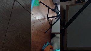 4 часть