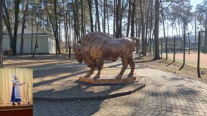 Санаторий Чёнки