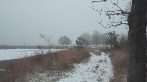 Замерзшее озеро в лесу