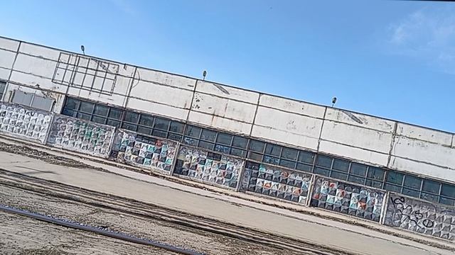 🐹 ждем трамвай до поликлиники 🚊 🏥