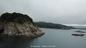 DJ Polkovnik - Melody of the Soul (Мелодия души). Эта мелодия покорила сердца миллионов слушателей