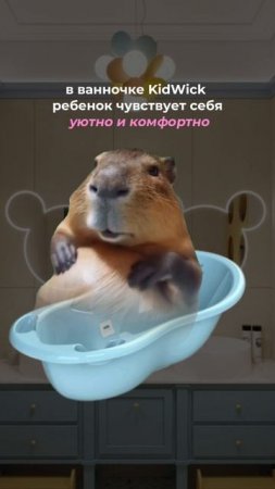 ВАННОЧКА ДЛЯ КУПАНИЯ НОВОРОЖДЕННЫХ KIDWICK