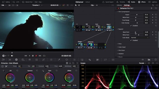 "That Film Look" | Dehancer | Film Emulation Plugin