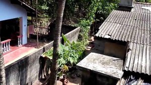 Маленький абориген