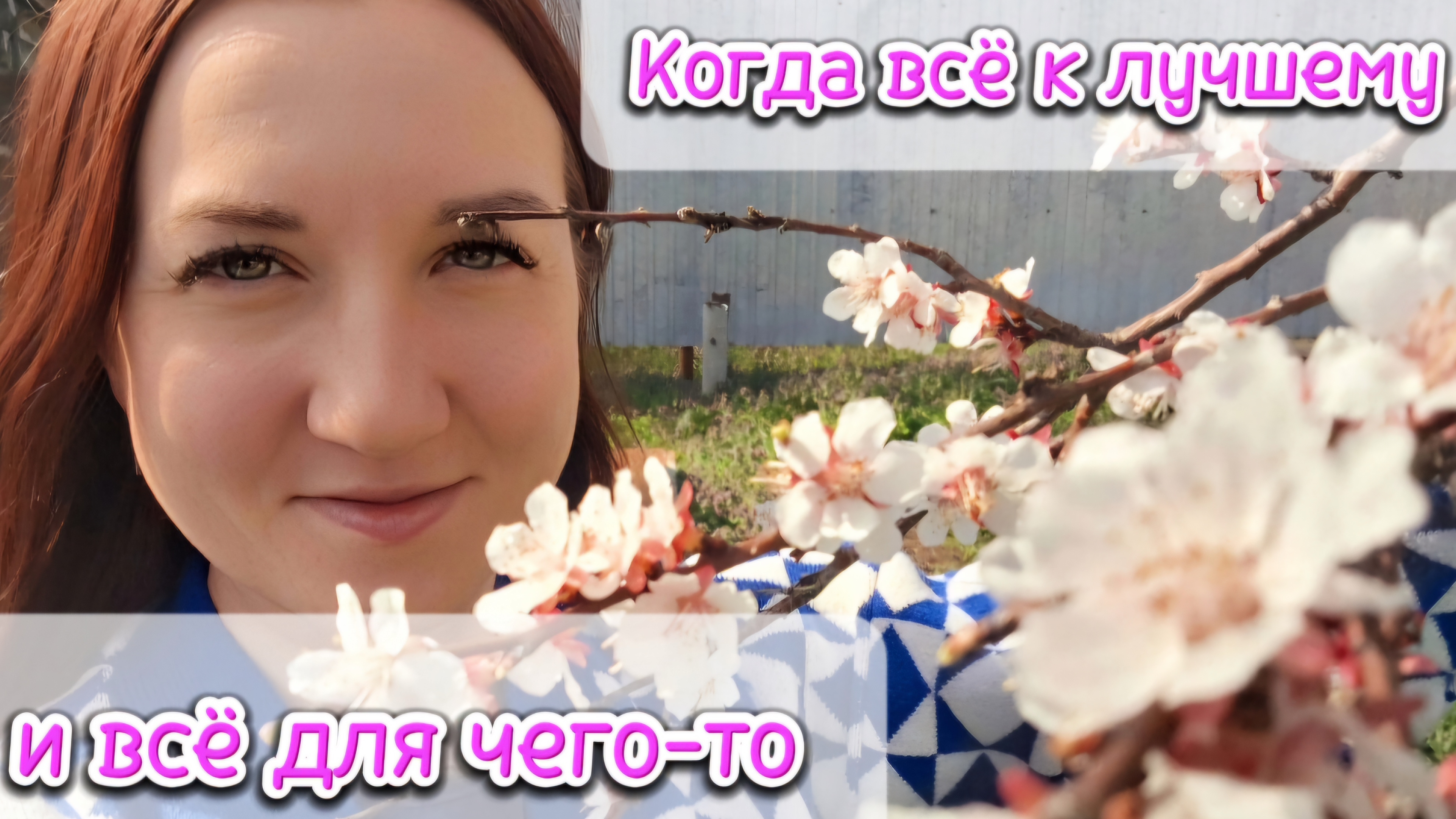 переезд на юг.