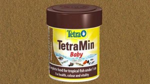 Корм для аквариумных рыб. Купить или приготовить самому.