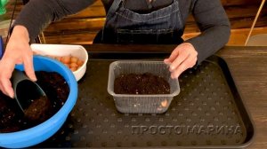 Зеленый лук в магазине не покупаю.