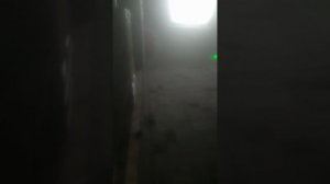 Кошачий лазер