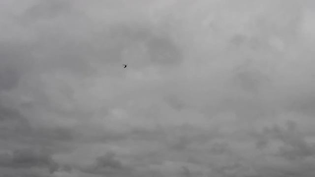 Прилёт губернатора на Партизанскую славу смотреть онлайн