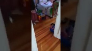 6 летняя девочка плачет из-за того что не дают выбрасывать рюкзаки в мусорку