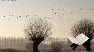 109. Сура Аль-Кафирун
Прекрасное чтение Корана
Чтец: Саадом Аль Гамиди