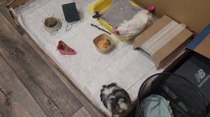 Улли летает легко (подготовка к дню Космонавтов)