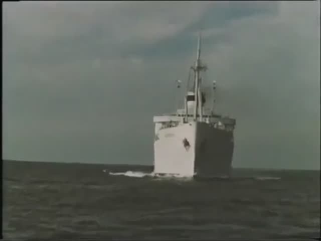 Капитаны голубой лагуны (1962)