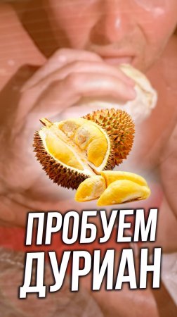 Впервые попробовал Дуриан!