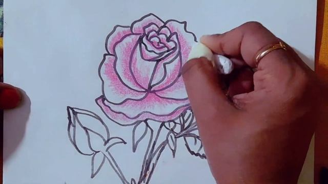 how to draw beautiful pink rose drawing and coloring drawing смотреть онлайн