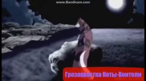Коты-Воители/Кленовница-Кошка это дикий зверь!Клип:3