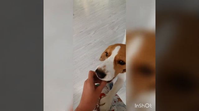 РУМ ТУР ПО ВАЛЬЕРУ|ОБЗОР НА ИГРУШКИ|GELY SHOW смотреть онлайн