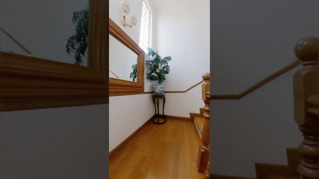 All White Bungalow смотреть онлайн