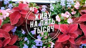 ЖИВУ НА 5 000 С ДВУМЯ ДЕТЬМИ ДЕНЬ 9