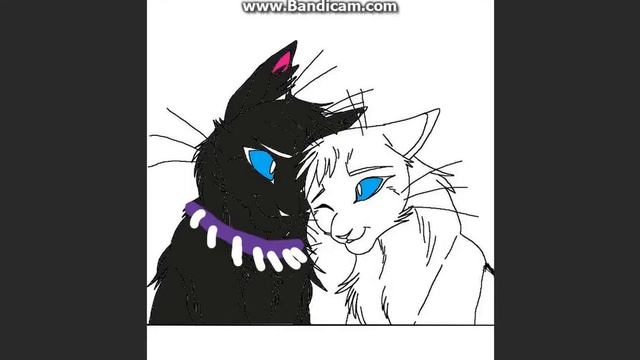 коты воители -чика смотреть онлайн