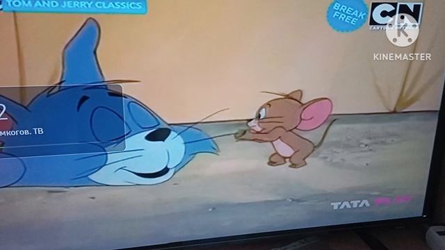 The Tom and Jerry Show (1975) Stay Awake or Else смотреть онлайн
