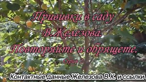 Прививки в саду В.Железова. Повторяйте и обрящете. Серия 2.