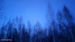 вечерняя тяга