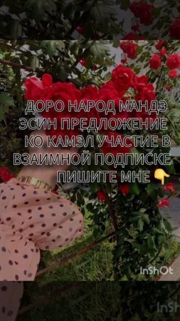 пишите если есть желающие