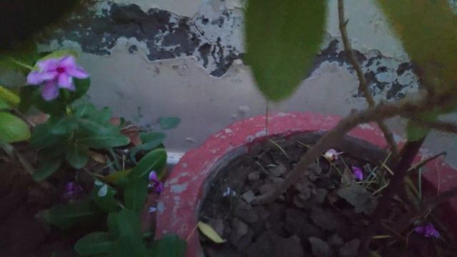 My First Masking Video in Adobe Premiere Pro 2021 | Masking Video Tutorial Hindi смотреть онлайн