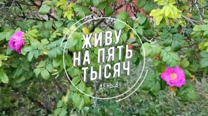 ЖИВУ НА 5 000 С ДВУМЯ ДЕТЬМИ ДЕНЬ 8