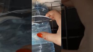 Обзор поилок для кур