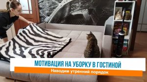 Навожу порядок в гостиной / Мотивация на уборку в квартире