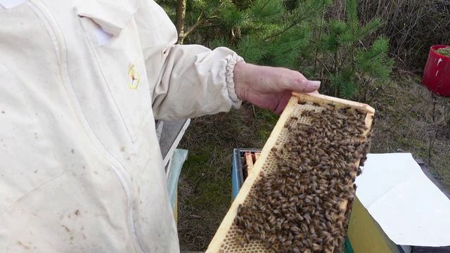 результат постановки магазинов и первый мед !!!! смотреть онлайн