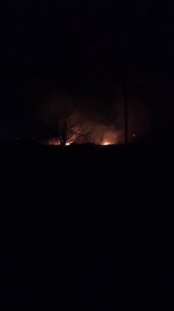 Сосед скинул видео что рядом горит камышь. Бдительные соседи. добрые соседи.