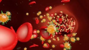 Самые страшные 7 продуктов, которые убивают кишечник!