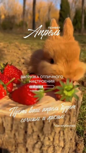 Скачивай БЕСПЛАТНО в моем ТЕЛЕГРАМ канале видео и стикеры для оформления твоих сторис!