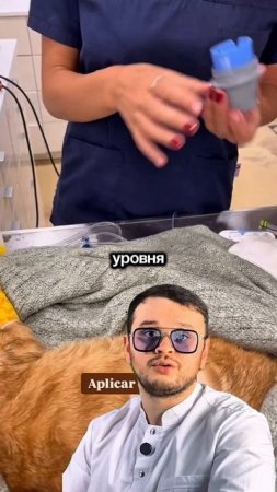 Современные технологии