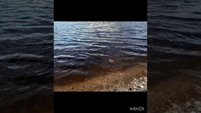 04-04-2025 4 Апреля. Погода испортилась. Вечерняя прогулка была не очень приятной....