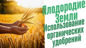 Использование органических удобрений.