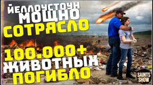 Йеллоустоун Землетрясение, Торнадо в США, Наводнение Австралия, Новости сегодня! Катаклизмы 4 марта