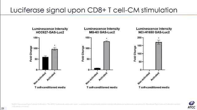 Bioluminescent Insights: Reporter Cell Lines in Checkpoint Inhibitor Therapeutic Development