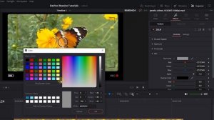 How to Add CAMERA VIEWER OVERLAY Effect in Davinci Resolve