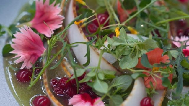 Welcomepro Kitchen Management смотреть онлайн