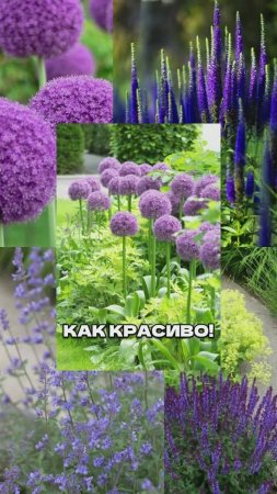 Посадила Так - Соседи В Шоке!
