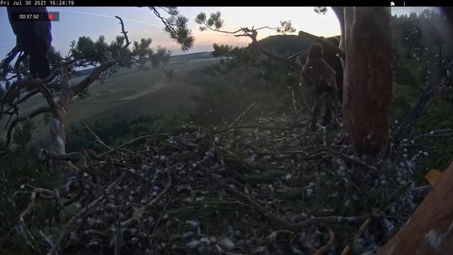 30.07.2021 вечер в гнезде смотреть онлайн