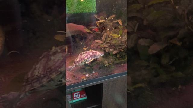 Всем здравствуйте нас долго не было ну теперь мы вернулись 😁Валера чувствует себя отлично!!!